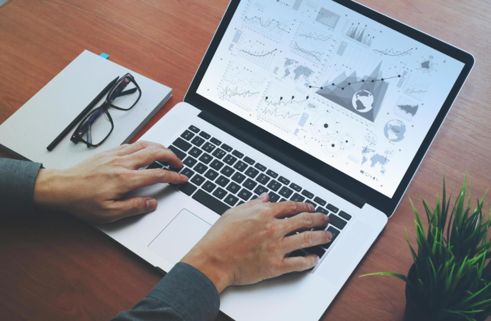 Students working on local SEO assignments